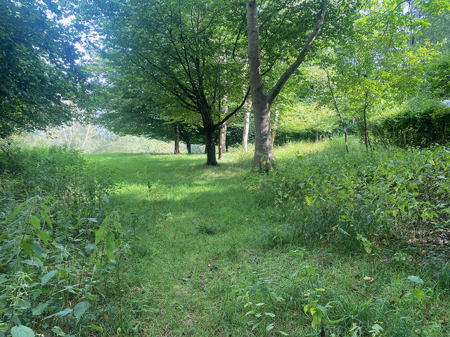 Site entrance